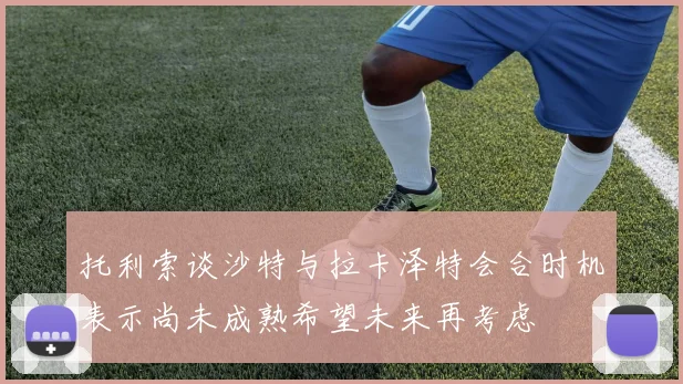 托利索谈沙特与拉卡泽特会合时机表示尚未成熟希望未来再考虑