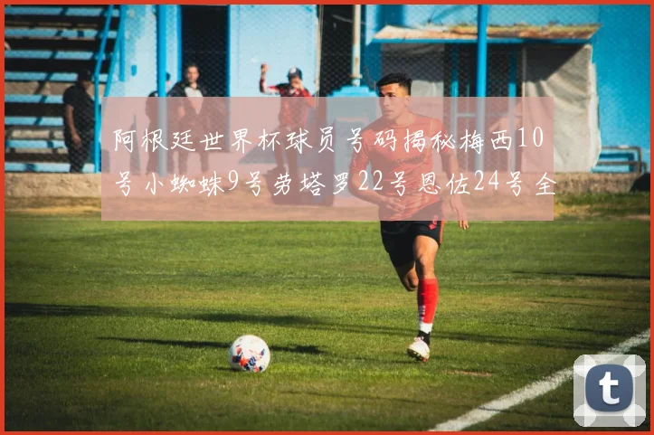 阿根廷世界杯球员号码揭秘梅西10号小蜘蛛9号劳塔罗22号恩佐24号全解析